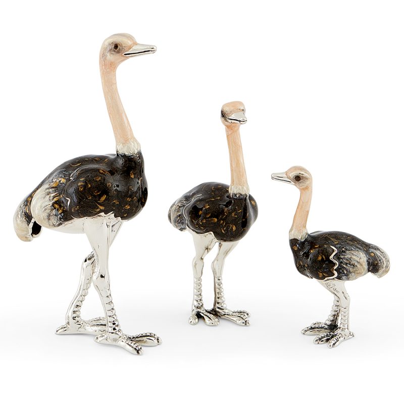 ST341-Ostrich-family