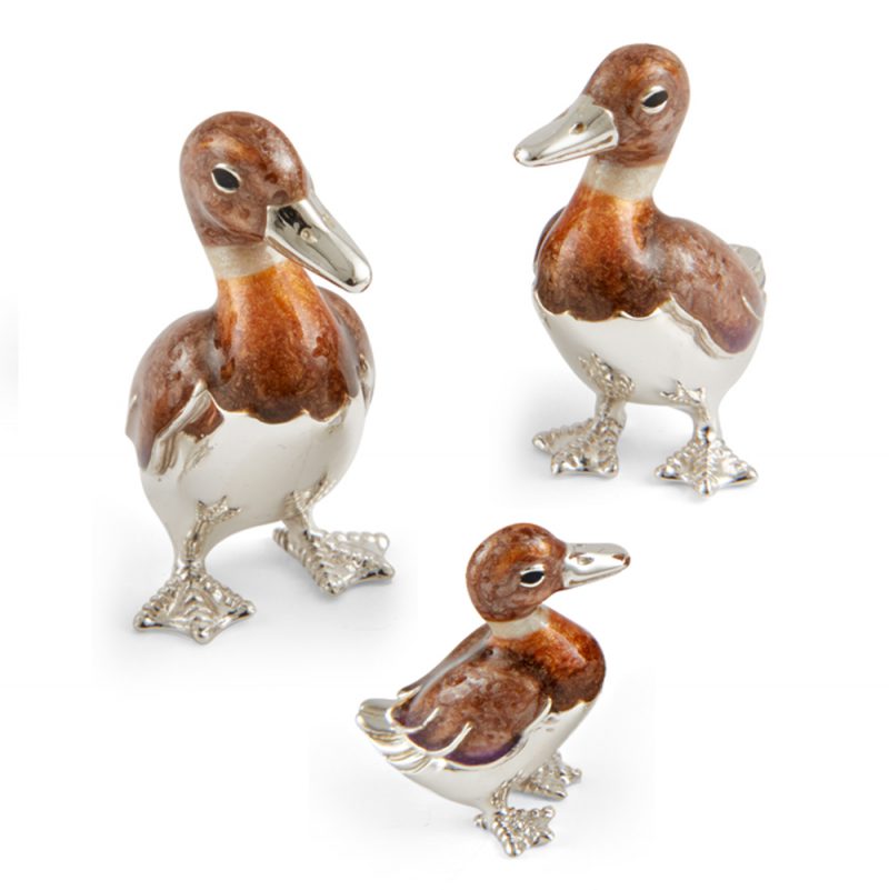 ST285-Brown-Duck-Family