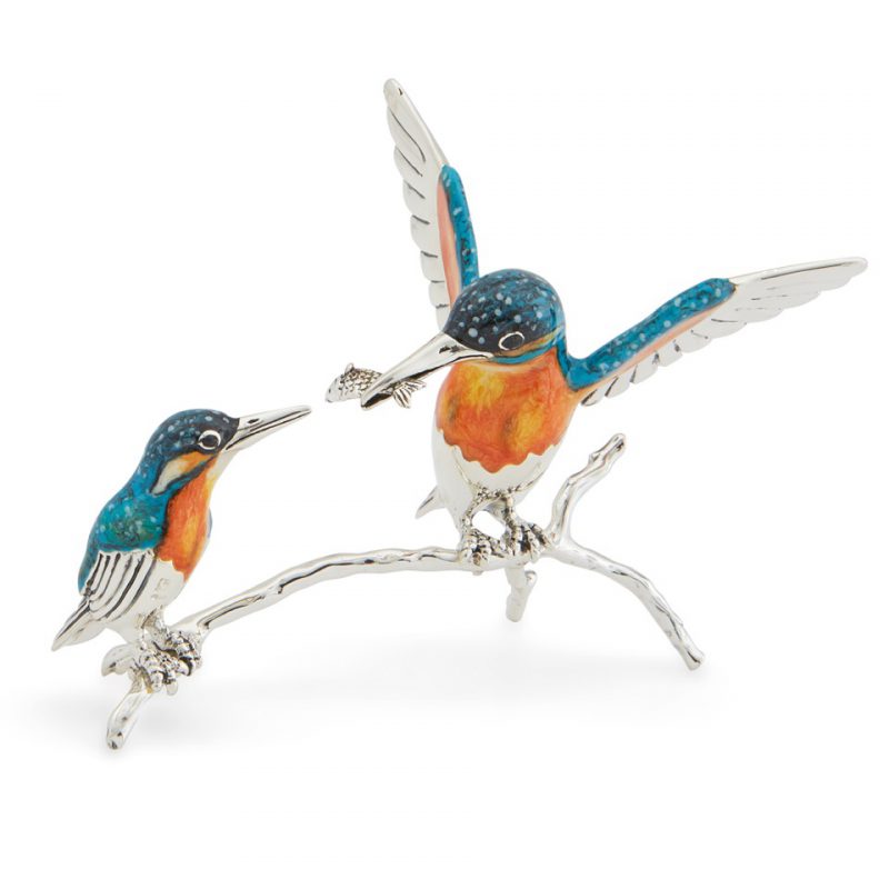 ST560 Kingfishers on a branch