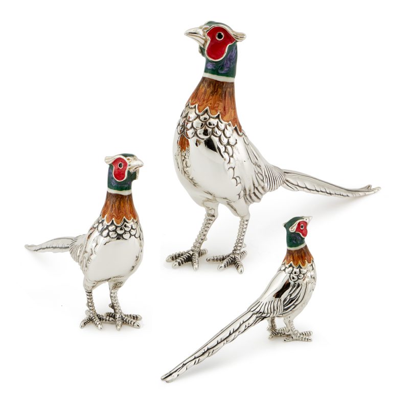 ST61-Pheasant-cock-family