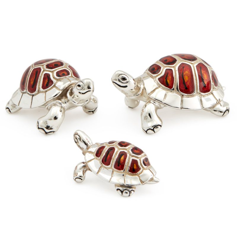 ST36-Red-Turtle-Family