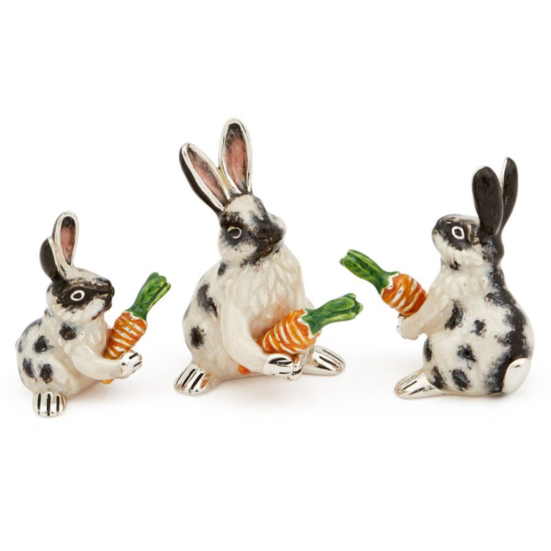 ST643-Rabbits-and-Carrots