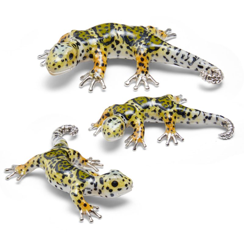 ST835-Gecko-Family