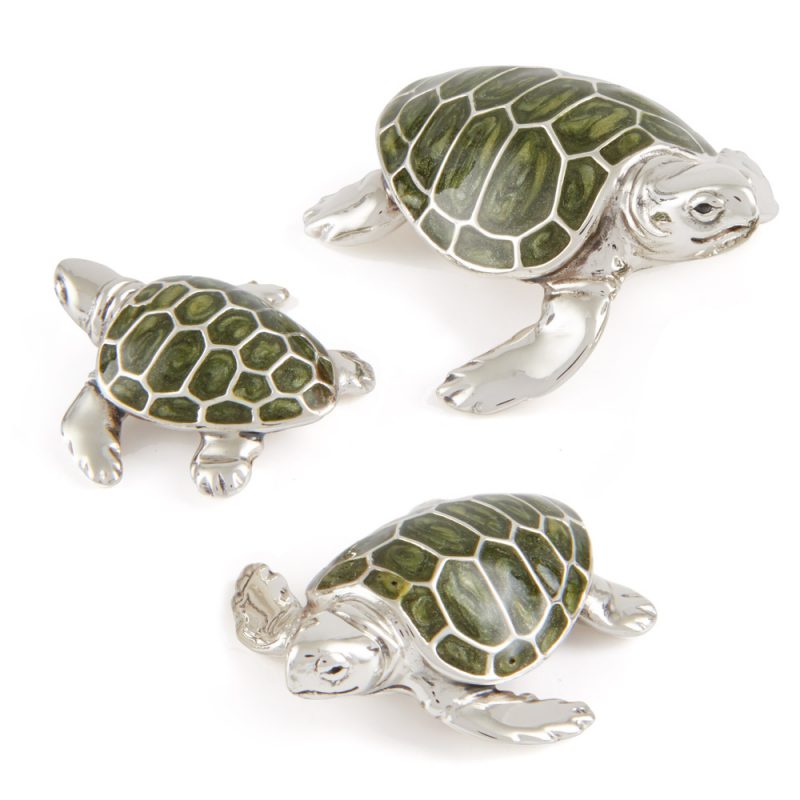 ST197-Green-Turtle-Family
