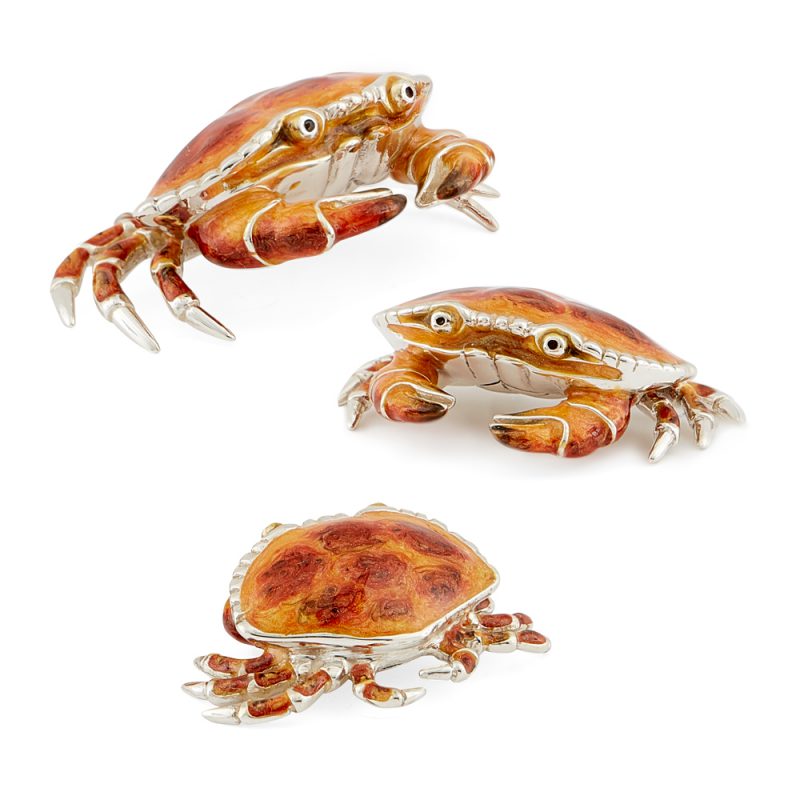 ST248-crab-family
