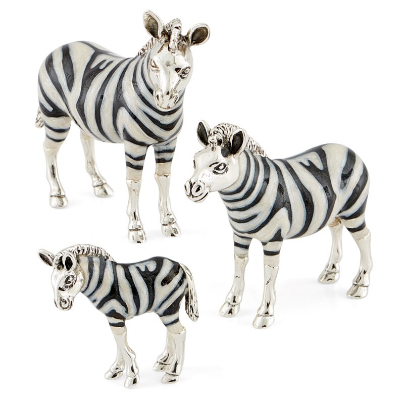 ST396-Zebra-family