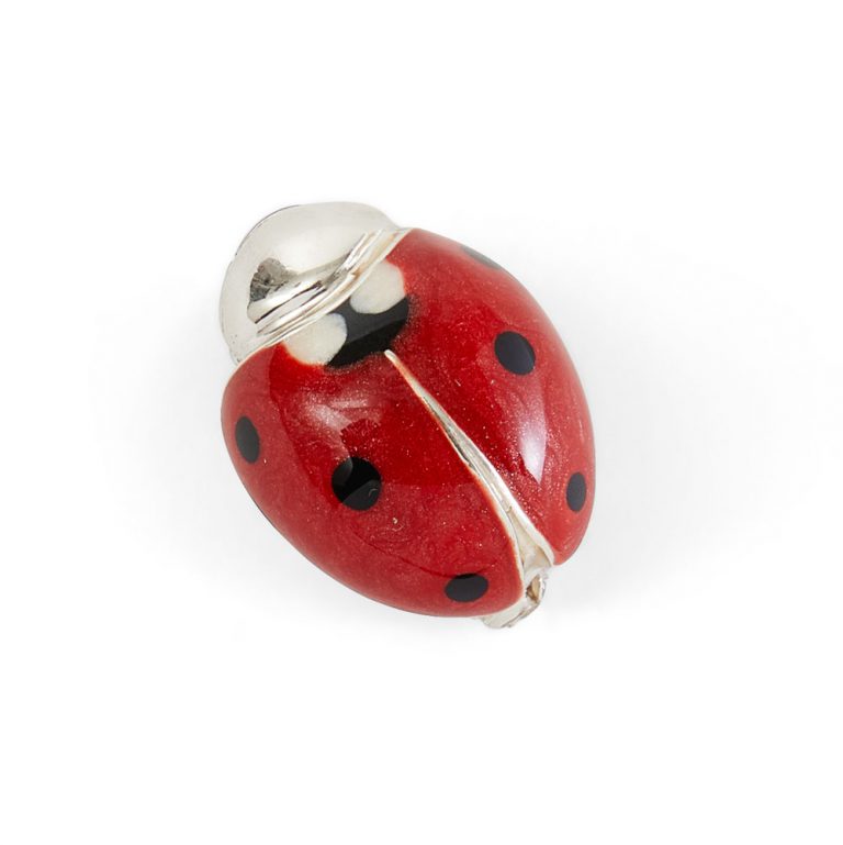 Ladybird Brooch