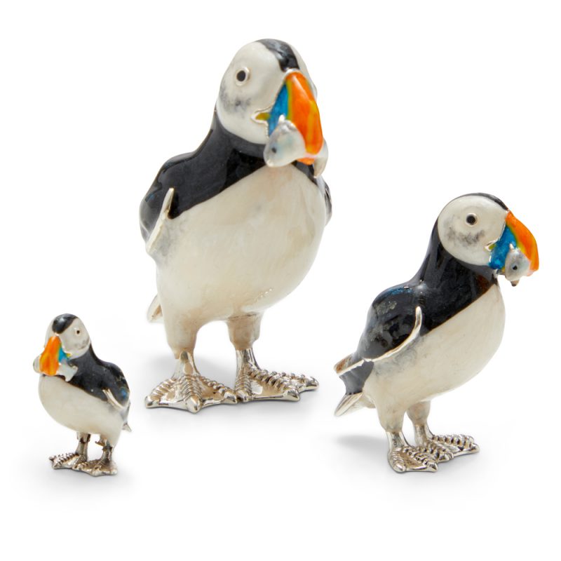ST839-Puffin-family-with-fish3a